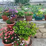 Alenka Apartment Murter
