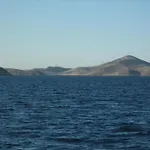 Alenka