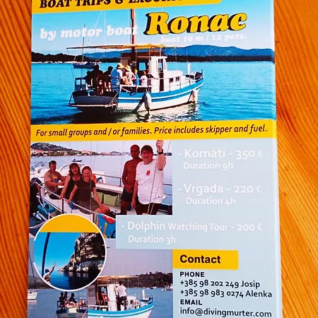 Alenka Μούρτερ