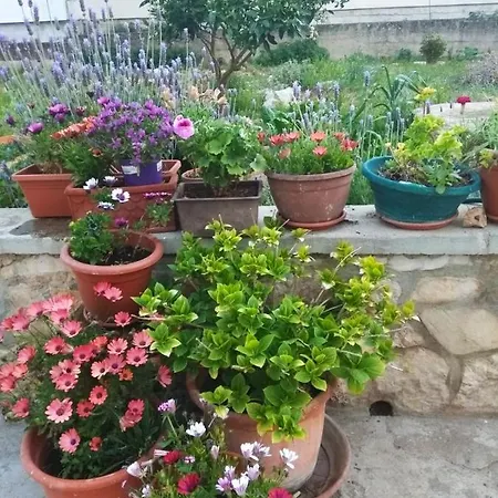 Alenka דירה מורטר